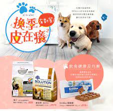 pin by jemma on 7 pet event event poster design food poster design