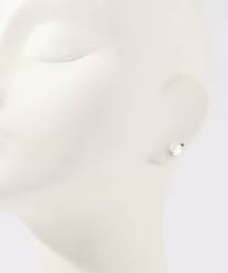 Image result for Olea chimanimani