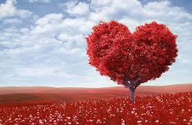 Love Tree 4k Ultra Hd Wallpaper 4k Wallpaper Net Arbre De Coeur Belle Image De Coeur Image Coeur