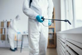 Avon is the top choice for pest control in Vancouver - Metro Vancouver Pest  Control Service - Customer's Choice