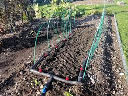 Arrosage goutte a goutte fait maison. Installation D Un Arrosage Goutte A Goutte Au Potager La Pelle Du Jardin