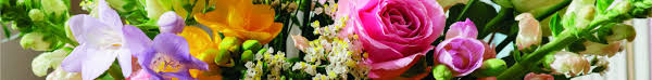 Check spelling or type a new query. Bloom And Wild Nhs Discounts Flowers Delivery Special Occasions
