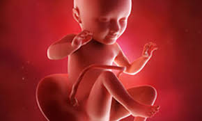 34 Ssw Schwangerschaftswoche Happybabyness Com