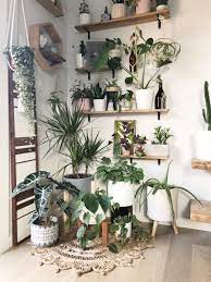 wall shelves plant stands mosaics vertical potted string of pearls