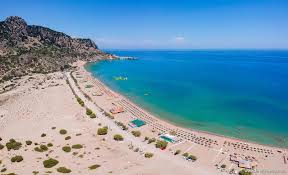 Image result for Thamnosma rhodesica