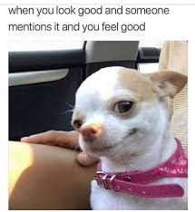 I Pinimg Com Originals Aa 37 06 Aa37069d2889339