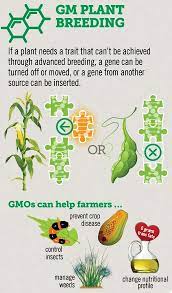 Why Are Gmos Good Gmo Benefits Gmo Answers
