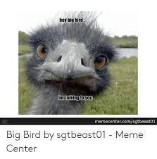 The hype resulted in gamestop (gme) becoming of the most traded stocks on this day in meme history: Hey Big Bird Im Talking To You Mc Memecentercomsgtbeast01 Big Bird By Sgtbeast01 Meme Center Meme On Me Me
