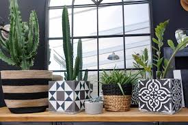 Vos Plantes Vous Diront Merci Diy Un Cache Pot Vintage Deco Deco Chambre Couleur Diy Deco