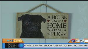 Maybe you would like to learn more about one of these? Local Couple Scammed Out Of Hundreds Through Fake Puppy Website Kobi Tv Nbc5 Koti Tv Nbc2