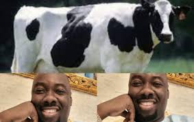 Man refuses to excuse roommate who brought his girlfriend home and watched them 'knack' video P4qdcereu9h8dm