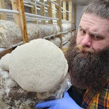 🎓🍄 50% OFF Mentorship Program