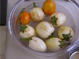 How To Kill Alzheimer's Disease