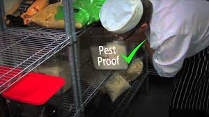 Give us a call and get a free quote, today! Natural Pest Control Services Englewood Cliffs Nj 7632