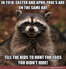 Now You Know Funsubstance In 2020 Animal Memes Funny Animal Memes Cute Funny Animals