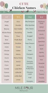 913 Amazing Chicken Names Chicken Names Cute Chicken Names Cute Chickens