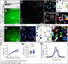 The time resolution is dened by how accurately the time at which a particle crossed the detector can be determined. Modular Transient Nanoclustering Of Activated B2 Adrenergic Receptors Revealed By Single Molecule Tracking Of Conformation Specific Nanobodies Pnas