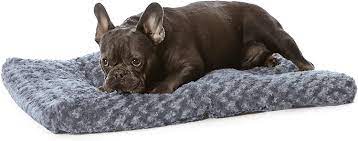 A big dog needs adequate space to truly spread out and rest. Amazon Com Amazon Basics Pet Dog Bed Pad 29 X 21 X 3 Inch Small Gray Swirl Pet Supplies