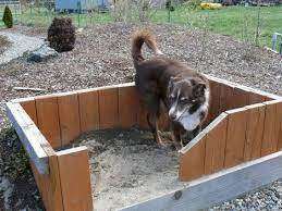 8 Droolworthy Dog Friendly Backyards Dog Backyard Dog Playground Dog Friendly Garden