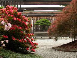 Kambariniai ir lauko bonsai medeliai, jų priežiūros priemonės, sodo bonsai medžiai. Location Hours National Bonsai Foundation
