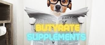 Increasing fecal butyrate in ulcerative colitis patients by diet: Butyrate Supplements Butyric Acid Optimal Gut