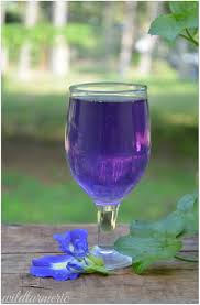 5 Top Health Benefits Of Blue Butterfly Pea Flower Tea Recipe Clitoria Ternatea Tea Butterfly Pea Flower Tea Butterfly Pea Flower Flower Tea
