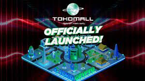 Tokomall Indonesia S First Multi Category Nft Marketplace Vietnam Insider