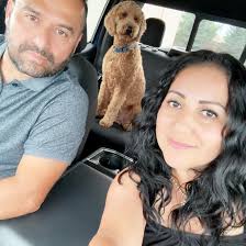 Has anyone here ordered toys from Temu, and if so were you satisfied