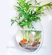 Total care, housing, and feeding your goldfish, keeping your pet healthy, breeding by maddy hargrove says about the fish bowl, a muddy puddle in a deep pothole would probably be better. and for many reasons: Best Products Heart Shaped Acrylic Fish Bowl My Orders With Alibaba Buy Heart Shaped Acrylic Fish Bowl Heart Shaped Acrylic Fish Bowl Acrylic Fish Aquariumsmall Acrylic Aquarium Product On Alibaba Com