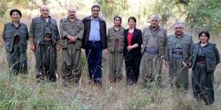 Bir partiden belediye başkanlığına adaylığınızı koyuyorsanız, o partinin politikalarını beğeniyorsunuz ve benimsiyorsunuz demektir. Hdp Pkk Confession From The Witness Of The Kobani Incidents Case Kisanak Elected Mayor On Ocalan S Instructions