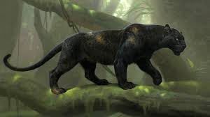 This hd wallpaper is about panther hd, black panther, animals, original wallpaper dimensions is 1440x900px, file size is 137.47kb. Black Panther Animal Hd Wallpaper For Laptop Novocom Top
