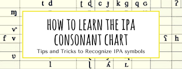 how to learn the ipa consonant chart reach for the speech