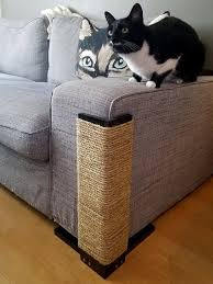 Pin On Casitas Para Gatos