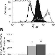 Testing and 2 3 8 6 8 and l6e9 l6e9 biomolecules free full text differentiation of murine c2c12 myoblasts strongly reduces the effects of myostatin on intracellular signaling by rowena ebert 21 feb, 2021 post a comment home » unlabelled » testing and 2*3*8=6*8 and swxd=swxd. Testing And 2 3 8 6 8 And L6e9 L6e9 Testing And 2 3 8 6 8 And L6e9 L6e9 Exercise Bombaycollegepussy