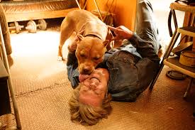Marcin dorocinski, krzysztof stroinski, dorota rabczewska. Once Upon A Time In Hollywood Brad Pitt S Cute Dog Steals The Movie