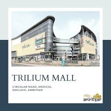 Trilium Mall Cityamritsar In 2020 Virtual Travel Amritsar City