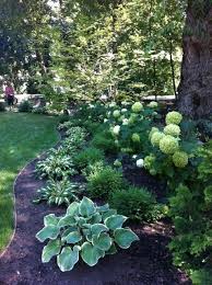 Shady Yard With Hostas Hydrangeas Might Look Good In Our Shady Front Yard Great Yard Ideas Shade Garden Design Shade Landscaping Shade Garden