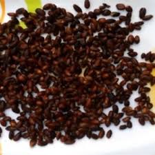 Image result for Treculia