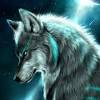 The wild hunt is defeated and ciri steps beyond to face the source of the white frost. Https Encrypted Tbn0 Gstatic Com Images Q Tbn And9gcswlgqwi1d2whmc0dv7oealkj91r 9uomjpzuvwj R8g0tjaycp Usqp Cau
