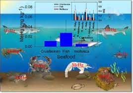 Methyl Mercury Concentrations In Seafood Collected From Zhoushan Islands Zhejiang China And Their Potential Health Risk For The Fishing Community Capsule Methyl Mercury In Seafood Causes Potential Health Risk Sciencedirect