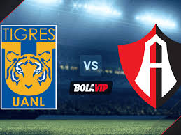 Dónde ver cruz azul vs tigres en vivo, liga mx en directo. Gfpirtdnlqnyom