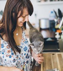 Includes a short potty break as well as a pet care journal with pictures. Our Veterinarians In Nashville Are Accepting New Patients