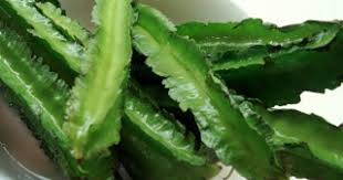 Artikel ini akan membincangkan khasiat kacang kuda, kandungan nutrisi dan juga kompaun sihat. My World Dunia Saya Khasiat Kacang Botol