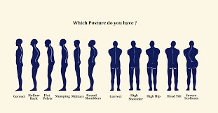 Image result for Posture