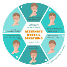 Nadi Shodhana Or Alternate Nostril Breathing H B Calming Mei Do A 6 Count In Out Nadishadhana Alternateno Yoga Breathing Techniques Yoga Breathing Pranayama