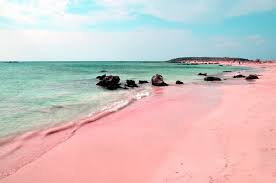 Ανησύχησε τους followers της με τη φωτό με μπαταρισμένο χέρι! The Unique Pink Sands Beach In Harbour Island The Bahamas Places To See In Your Lifetime
