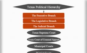 Political Hierarchy Political System And Structures