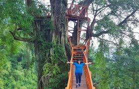 Ia kerap kali masuk pemberitaan karena padat pengunjung dan menjadi salah satu destinasi menarik yang ada di bogor. 30 Tempat Wisata Di Bogor Paling Hits Favorit Dikunjungi Tahun Ini