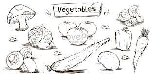 18 968 gambar gambar gratis dari sayur sayuran. Unsur Sayur Sayuran Yang Ditarik Tangan Gambar Unduh Gratis Imej 400381953 Format Psd My Lovepik Com