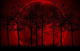 Black background with text overlay, typography, quote, simple background. Wallpaper Red Background The Moon The Darkness Black Trees Gloom Images For Desktop Section Raznoe Download